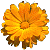 Слика корисника marigolda's
